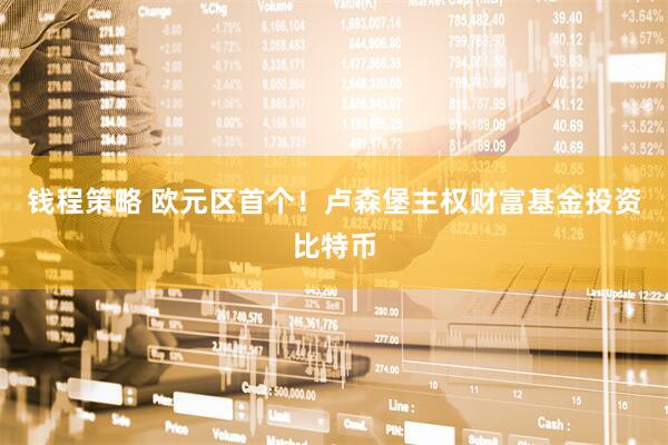 钱程策略 欧元区首个！卢森堡主权财富基金投资比特币